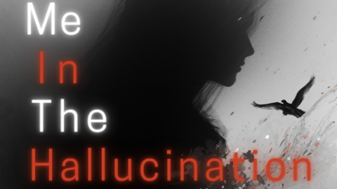 [ミートミーインザハルシネーション]